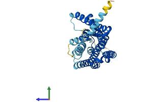 Protein Structure (PS) image for Olfactory Receptor 1E5 (OR1E1) (AA 1-314) protein (His tag) (ABIN7550448)