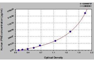 IFNE ELISA 试剂盒