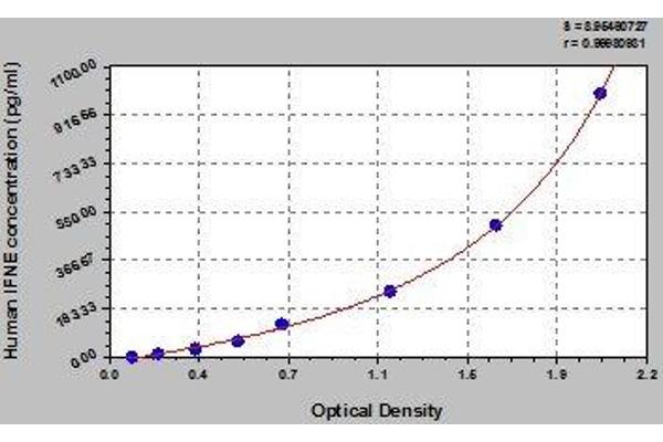 IFNE ELISA 试剂盒
