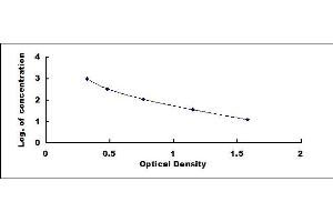 Typical standard curve (PYY3 ELISA 试剂盒)