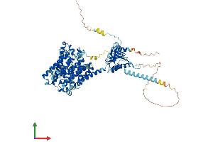 Protein Structure (PS) image for Solute Carrier Family 26, Member 6 (SLC26A6) (AA 1-758) protein (His tag) (ABIN7564600)