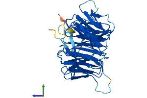 Protein Structure (PS) image for G protein beta subunit-like (GBL) (AA 1-326) protein (His tag) (ABIN7565017)