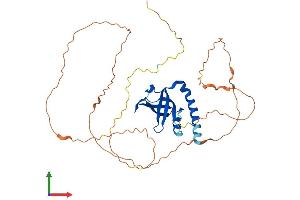 Protein Structure (PS) image for Spermatogenesis Associated 22 (SPATA22) (AA 1-358) protein (His tag) (ABIN7557539)