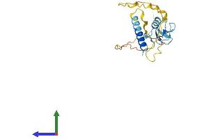 Protein Structure (PS) image for Ring Finger Protein 185 (RNF185) (AA 1-192) protein (His tag) (ABIN7560119)