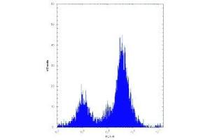 Irak1 antibody flow cytometric analysis of Neuro-2a cells (right histogram) compared to a negative control (left histogram). (IRAK1 抗体  (AA 405-433))