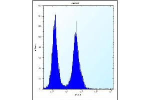 SNX25 Antibody (Center) (ABIN656177 and ABIN2845507) flow cytometric analysis of Jurkat cells (right histogram) compared to a negative control cell (left histogram). (SNX25 抗体  (AA 399-426))