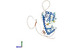 Protein Structure (PS) image for Family with Sequence Similarity 98, Member A (FAM98A) (AA 1-515) protein (His tag) (ABIN7557068)