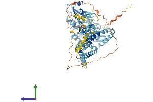 Protein Structure (PS) image for Ring Finger Protein 103 (RNF103) (AA 1-683) protein (His tag) (ABIN7556228)