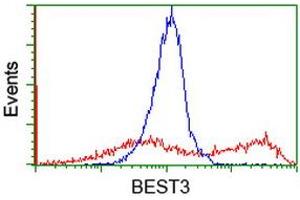 Flow Cytometry (FACS) image for anti-Bestrophin 3 (BEST3) antibody (ABIN1501731) (Bestrophin 3 抗体)
