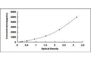 Typical standard curve (Myeloperoxidase ELISA 试剂盒)