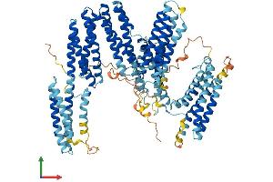 Protein Structure (PS) image for Catenin (Cadherin-Associated Protein), alpha 3 (CTNNA3) (AA 1-895) protein (His tag) (ABIN7557861)