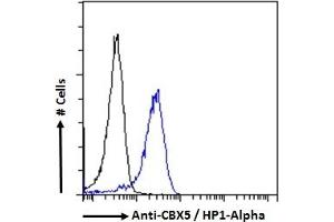 Flow Cytometry (FACS) image for anti-Chromobox Homolog 5 (CBX5) (Internal Region) antibody (ABIN185491)