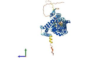 Protein Structure (PS) image for Solute Carrier Family 1 (Neuronal/epithelial High Affinity Glutamate Transporter, System Xag), Member 1 (SLC1A1) (AA 1-523) protein (His tag) (ABIN7563403)