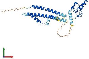 Protein Structure (PS) image for E3 SUMO-Protein Ligase NSE2 (NSMCE2) (AA 1-247) protein (His tag) (ABIN7554766)