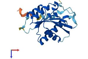 AlphaFold protein structure predicition of Human Recombinant CENPM Protein, UniprotID Q9NSP4