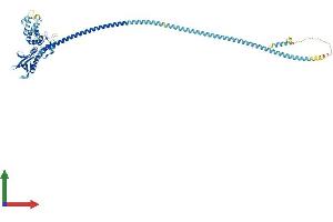 Protein Structure (PS) image for SWAP Switching B-Cell Complex 70kDa Subunit (SWAP70) (AA 1-585) protein (His tag) (ABIN7557898)