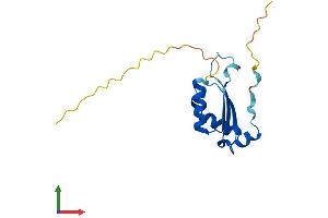 Protein Structure (PS) image for BolA-like Protein 1 (BOLA1) (AA 1-137) protein (His tag) (ABIN7552814)