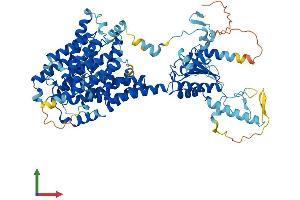 Protein Structure (PS) image for Solute Carrier Family 26, Member 3 (SLC26A3) (AA 1-757) protein (His tag) (ABIN7556317)
