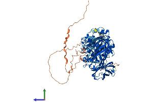 Protein Structure (PS) image for Transglutaminase 1, Keratinocyte (TGM1) (AA 1-817) protein (His tag) (ABIN7555767)