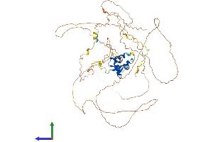 AlphaFold protein structure predicition of Human Recombinant FOXO1 Protein, UniprotID Q12778