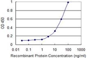Detection limit for recombinant GST tagged ARHGEF5 is 1 ng/ml as a capture antibody. (ARHGEF5 抗体  (AA 1-519))