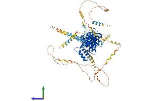 Protein Structure (PS) image for Amyloid beta (A4) Precursor Protein-Binding, Family B, Member 1 Interacting Protein (APBB1IP) (AA 1-670) protein (His tag) (ABIN7559778)