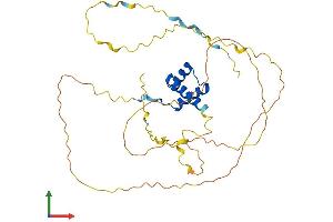 Protein Structure (PS) image for ALX Homeobox 3 (ALX3) (AA 1-343) protein (His tag) (ABIN7552021)