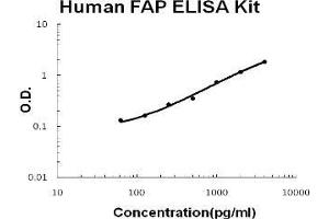 Human Seprase/FAP PicoKine ELISA Kit standard curve (FAP ELISA 试剂盒)