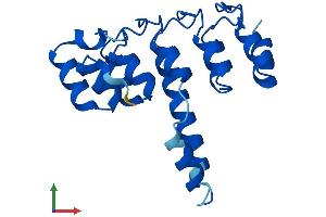 Protein Structure (PS) image for Ankyrin Repeat Domain 22 (ANKRD22) (AA 1-191) protein (His tag) (ABIN7552157)