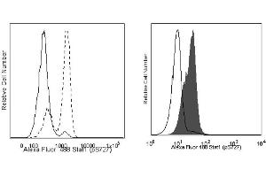 Flow Cytometry (FACS) image for anti-Signal Transducer and Activator of Transcription 1, 91kDa (STAT1) (pSer727) antibody (Alexa Fluor 488) (ABIN1177188) (STAT1 抗体  (pSer727) (Alexa Fluor 488))