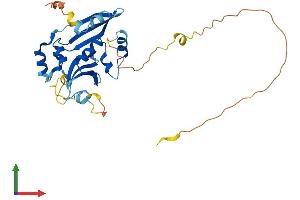 Protein Structure (PS) image for Chromosome 18 Open Reading Frame 10 (C18orf10) (AA 1-296) protein (His tag) (ABIN7557862)