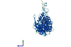 AlphaFold protein structure predicition of Mouse Recombinant Cct6b Protein, UniprotID Q61390
