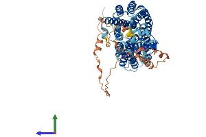 Protein Structure (PS) image for Solute Carrier Family 22 (Organic Cation Transporter), Member 16 (SLC22A16) (AA 1-649) protein (His tag) (ABIN7563774)
