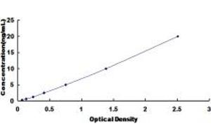 Typical standard curve (Lamin A/C ELISA 试剂盒)