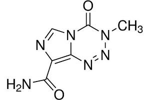 Chemical structure of Temozolomide , a DNA alkylator / apoptosis inducer.
