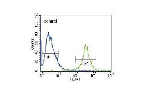 FRK Antibody (N-term) (ABIN392097 and ABIN2841849) flow cytometric analysis of 293 cells (right histogram) compared to a negative control cell (left histogram). (FRK 抗体  (N-Term))