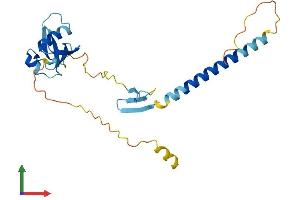 Protein Structure (PS) image for Cell Death-Inducing DFFA-Like Effector C (CIDEC) (AA 1-238) protein (His tag) (ABIN7553498)