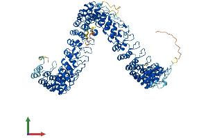 Protein Structure (PS) image for Ankyrin Repeat Domain 44 (ANKRD44) (AA 1-993) protein (His tag) (ABIN7552287)