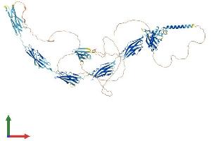 Protein Structure (PS) image for KIAA0319L (KIAA0319L) (AA 1-1048) protein (His tag) (ABIN7564620)