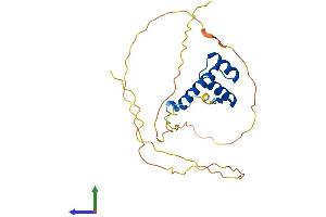 Protein Structure (PS) image for Homeobox A7 (HOXA7) (AA 1-230) protein (His tag) (ABIN7548488)