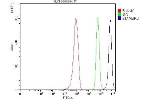 Flow Cytometry analysis of 293T cells using anti-AMSH-LP/STAMBPL1 antibody (ABIN7600389). (STAMBPL1 抗体  (AA 187-436))