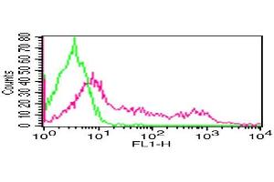 Flow Cytometry (FACS) image for anti-CD8 (CD8) antibody (FITC) (ABIN5027683) (CD8 抗体  (FITC))