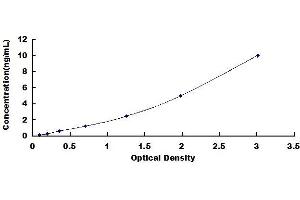 Typical standard curve (BMP10 ELISA 试剂盒)