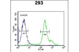 RBM24 Antibody (N-term) (ABIN651797 and ABIN2840402) flow cytometric analysis of 293 cells (right histogram) compared to a negative control cell (left histogram).