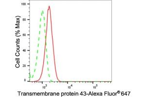 Flow cytometric analysis of Transmembrane protein 43 expression in C2C12 cells using Transmembrane protein 43 antibody (ABIN7800622), 1:2,000). (Recombinant TMEM43 抗体)