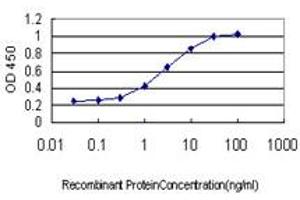 Detection limit for recombinant GST tagged NRG2 is approximately 0. (Neuregulin 2 抗体  (AA 116-215))