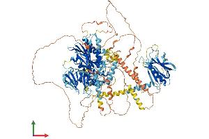 AlphaFold protein structure predicition of Human Recombinant INPP5F Protein, UniprotID Q9Y2H2