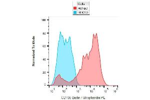 Surface staining of CD105 on Huvec cells with anti-CD105 (MEM-229) biotin. (Endoglin 抗体  (Biotin))