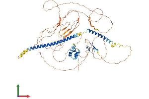 AlphaFold protein structure predicition of Mouse Recombinant Tab2 Protein, UniprotID Q99K90