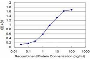 Detection limit for recombinant GST tagged CHML is approximately 0. (CHML 抗体  (AA 68-177))